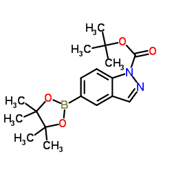 1-叔丁氧羰基吲唑-5-硼酸频哪醇酯结构式