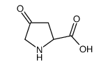 4-Oxo-D-proline Structure