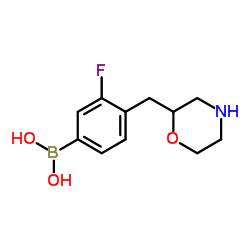 3-氟-4-(吗啉代甲基)苯基硼酸结构式