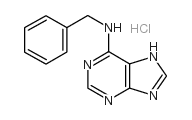 6-benzylaminopurine structure