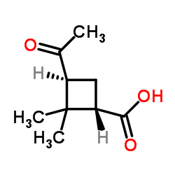 Cyclobutanecarboxylic acid, 3-acetyl-2,2-dimethyl-, (1S,3S)- (9CI) structure
