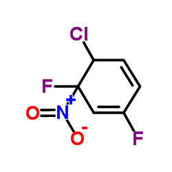 5-Chloro-2,6-difluoro-6-nitro-1,3-cyclohexadiene picture