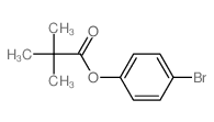 (4-bromophenyl) 2,2-dimethylpropanoate Structure