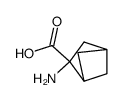 Bicyclo[2.1.1]hexane-2-carboxylic acid, 2-amino- (9CI)结构式