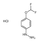 (4-(difluoromethoxy)phenyl)hydrazine hydrochloride Structure