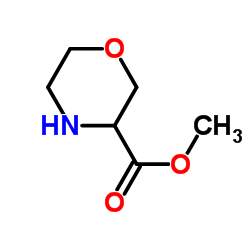 3-吗啡啉基甲酸甲酯图片