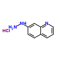 7-Hydrazinylquinoline hydrochloride Structure