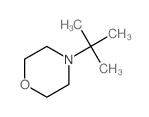 4-tert-butylmorpholine Structure