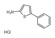5-phenylthiophen-2-amine,hydrochloride结构式