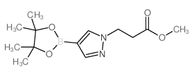 4-(4,4,5,5-四甲基-1,3,2-二噁硼烷-2-基)-1H-吡唑-1-丙酸甲酯图片