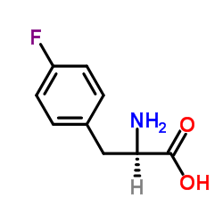 L-4-氟苯丙氨酸图片