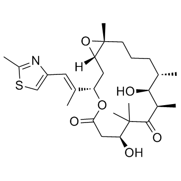 epothilone B structure