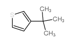 3-tert-butylthiophene Structure