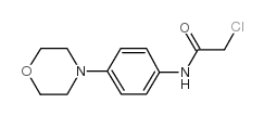 2-CHLORO-N-(4-MORPHOLIN-4-YL-PHENYL)-ACETAMIDE Structure