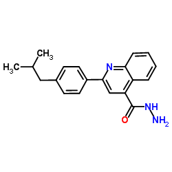 2-(4-Isobutylphenyl)-4-quinolinecarbohydrazide结构式