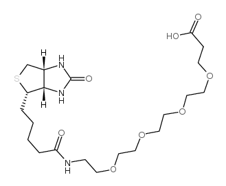 15-[D-(+)-生物素氨基]-4,7,10,13-四氧杂十五烷酸结构式