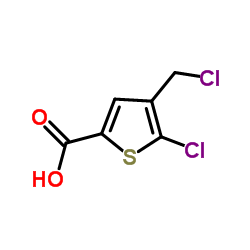 5-氯-4-(氯甲基)噻吩-2-羧酸结构式