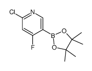 2-氯-4-氟-5-(4,4,5,5-四甲基-1,3,2-二氧硼杂环戊烷-2-基)吡啶结构式