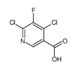 4,6-二氯-5-氟-3-吡啶羧酸结构式