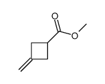 3-亚甲基环丁烷羧酸甲酯图片