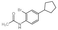 Acetamide,N-(2-bromo-4-cyclopentylphenyl)- structure