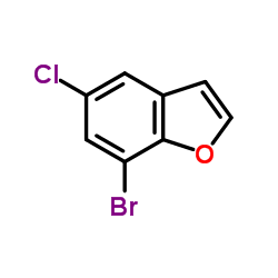 7-溴-5-氯苯并呋喃结构式