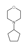 4-环戊基吗啉结构式