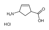 (1S,4R)-4-AMINO-CYCLOPENT-2-ENECARBOXYLIC ACID HYDROCHLORIDE结构式