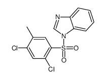 1-(2,4-dichloro-5-methylphenyl)sulfonylbenzimidazole结构式