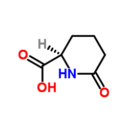 6-Oxo-2-piperidinecarboxylic acid structure