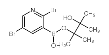 2,5-二溴吡啶-3-硼酸频哪醇酯结构式