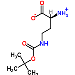 (S)-2-氨基-4-((叔丁氧基羰基)氨基)丁酸结构式