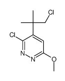 3-chloro-4-(1-chloro-2-methylpropan-2-yl)-6-methoxypyridazine结构式