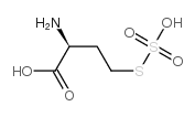 S-sulfohomocysteine structure