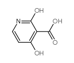 1,2-二氢-4-羟基-2-氧代-3-吡啶羧酸结构式