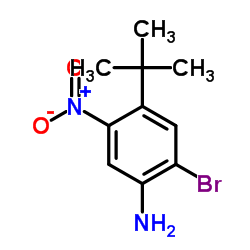 2-Bromo-4-(2-methyl-2-propanyl)-5-nitroaniline Structure