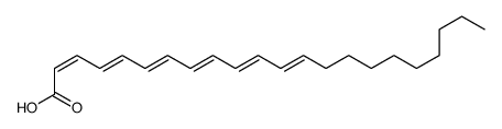 (2E,4E,6E,8E,10E,12E)-docosa-2,4,6,8,10,12-hexaenoic acid Structure