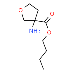3-氨基四氢呋喃-3-甲酸丁酯结构式