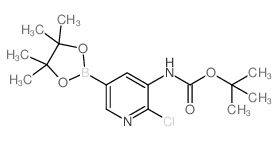 2-氯-5-(4,4,5,5-四甲基-1,3,2-二噁硼烷-2-基)吡啶-3-氨基甲酸叔丁酯结构式