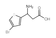 3-氨基-3-(4-溴-噻吩-2-基)-丙酸图片