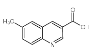 6-Methylquinoline-3-carboxylic acid picture