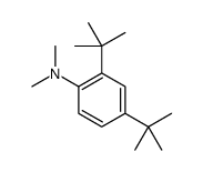 2,4-ditert-butyl-N,N-dimethylaniline Structure