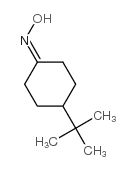 4-(tert-butyl)cyclohexanone oxime Structure