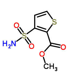 3-(氨基磺酰基)噻吩-2-羧酸甲酯图片