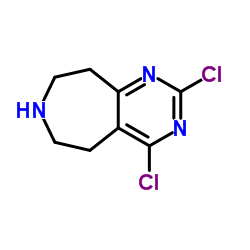 2,4-二氯-6,7,8,9-四氢-5H-嘧啶并[5,4-D]氮杂革结构式