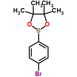 2-(4-Bromophenyl)-4,4,5,5-tetramethyl-1,3,2-dioxaborolane Structure