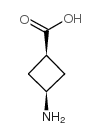 cis-3-aminocyclobutanecarboxylic acid Structure