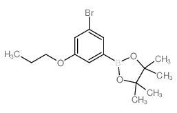 2-(3-Bromo-5-propoxyphenyl)-4,4,5,5-tetramethyl-1,3,2-dioxaborolane Structure