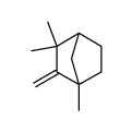 1,3,3-Trimethyl-2-methylidenebicyclo<2.2.1>heptane结构式