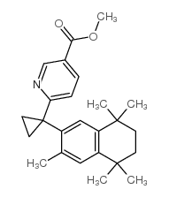 METHYL 6-(1-(1,2,3,4-TETRAHYDRO-1,1,4,4,6-PENTAMETHYLNAPHTHALEN-7-YL)CYCLOPROPYL)PYRIDINE-3-CARBOXYLATE结构式